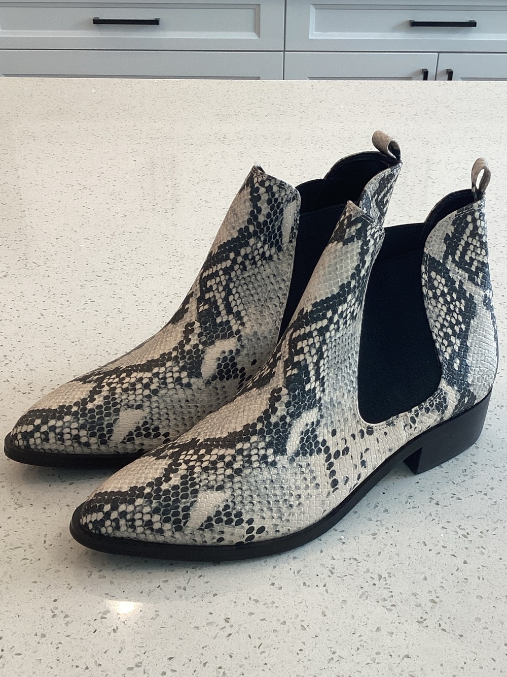 Steve Madden Snake-Print Chukka Boots in Black & White